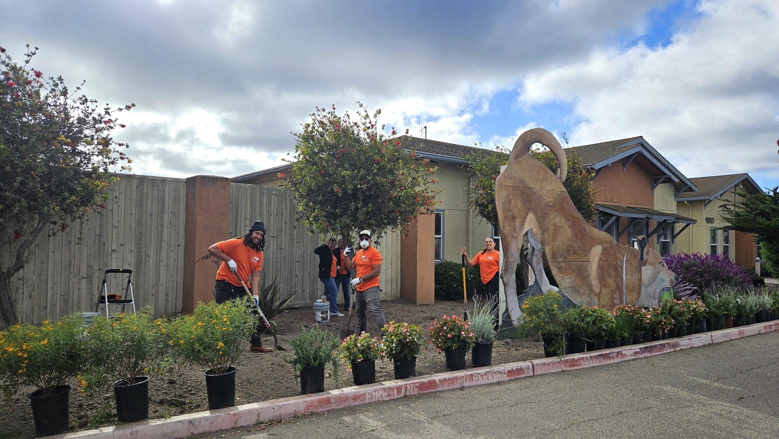 volunteers gardening